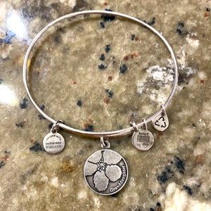 Alex and Ani Bracelet Granddaughter 🌺